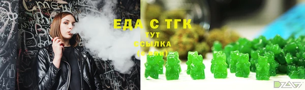 индика Надым